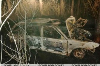 В Ветковском районе в «Фольксвагене» сгорели два человека